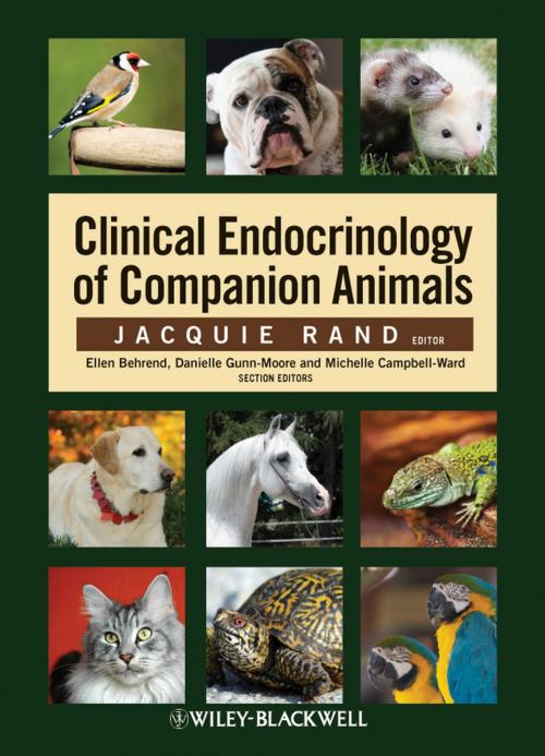 Cover of the book Clinical Endocrinology of Companion Animals by , Wiley