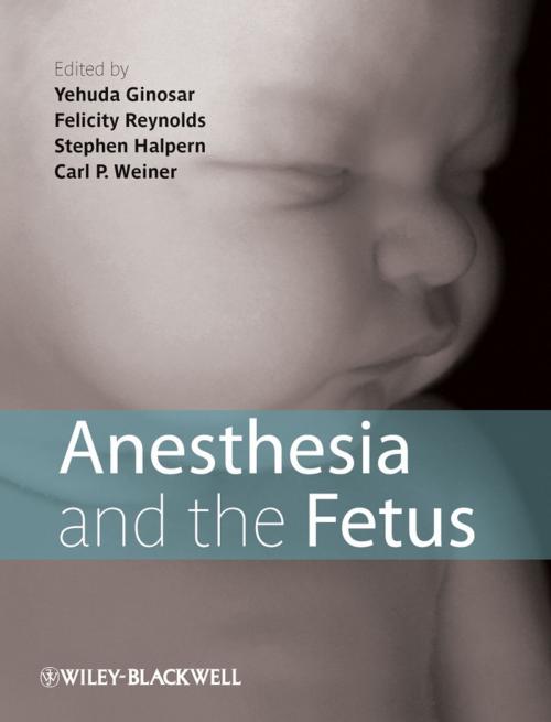 Cover of the book Anesthesia and the Fetus by , Wiley