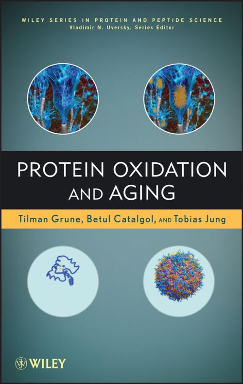 Cover of the book Protein Oxidation and Aging by Tilman Grune, Betul Catalgol, Tobias Jung, Vladimir Uversky, Wiley