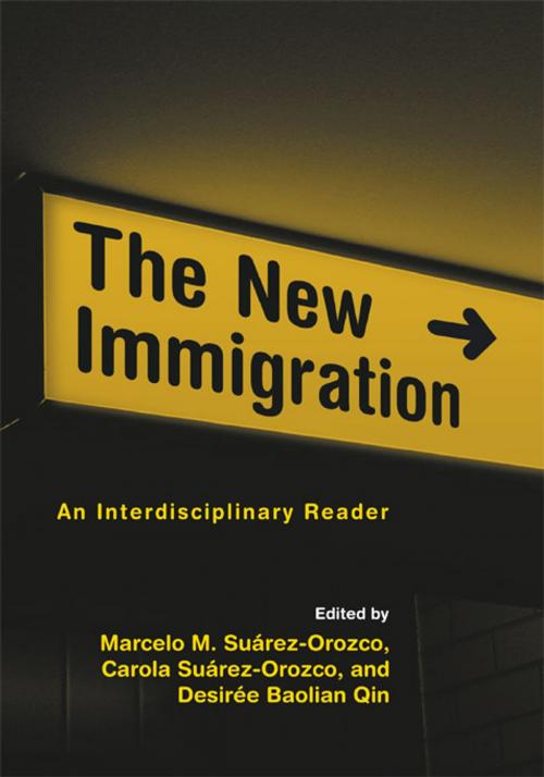 Cover of the book The New Immigration by , Taylor and Francis