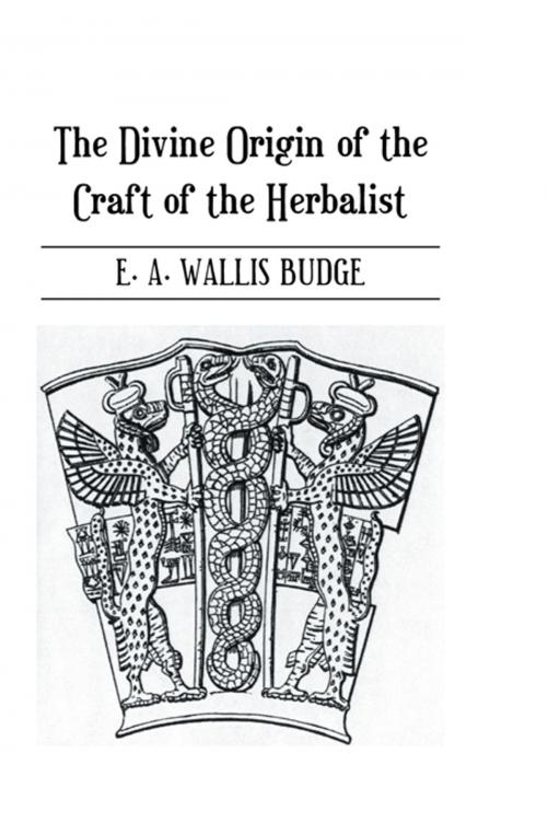 Cover of the book Divine Origin Of Craft Of Herbal by Budge, Taylor and Francis