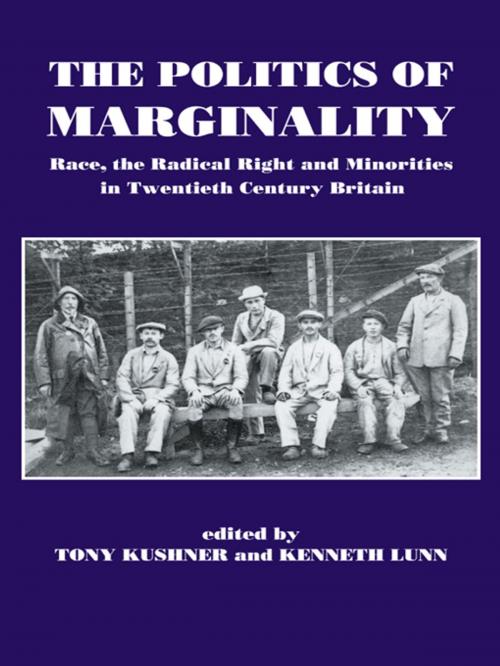 Cover of the book The Politics of Marginality by , Taylor and Francis