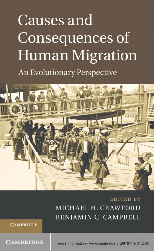 Cover of the book Causes and Consequences of Human Migration by , Cambridge University Press