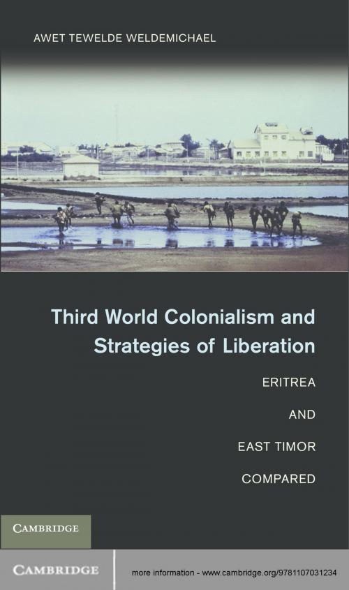 Cover of the book Third World Colonialism and Strategies of Liberation by Awet Tewelde Weldemichael, Cambridge University Press