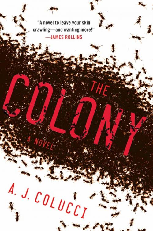 Cover of the book The Colony by A. J. Colucci, St. Martin's Press