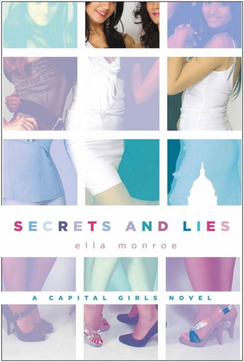 Cover of the book Secrets and Lies by Ella Monroe, St. Martin's Publishing Group