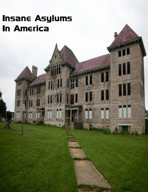 Cover of the book Insane Asylums In America by Sean Mosley, Lulu.com