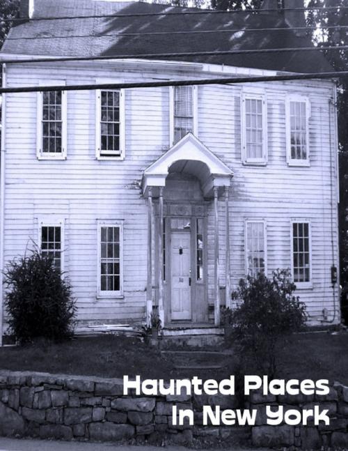 Cover of the book Haunted Places In New York by Sean Mosley, Lulu.com