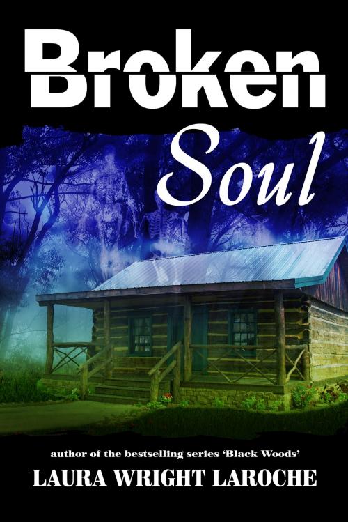 Cover of the book Broken Soul by Laura Wright LaRoche, Laura Wright LaRoche