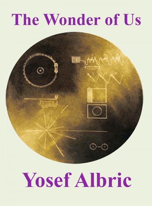 Cover of the book The Wonder of Us by Yosef Albric, Yosef Albric