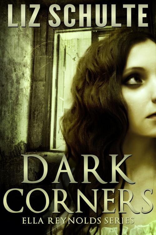 Cover of the book Dark Corners by Liz Schulte, Liz Schulte