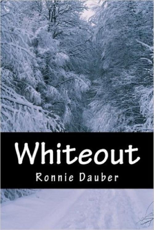 Cover of the book Whiteout by Ronnie Dauber, Ronnie Dauber