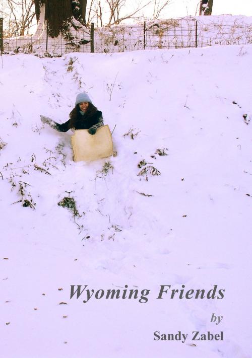 Cover of the book Wyoming Friends by Sandy Zabel, Two His Glory Publishing