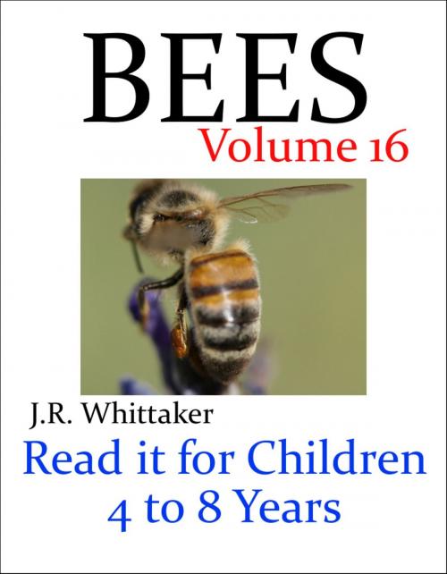 Cover of the book Bees (Read it book for Children 4 to 8 years) by J. R. Whittaker, J. R. Whittaker
