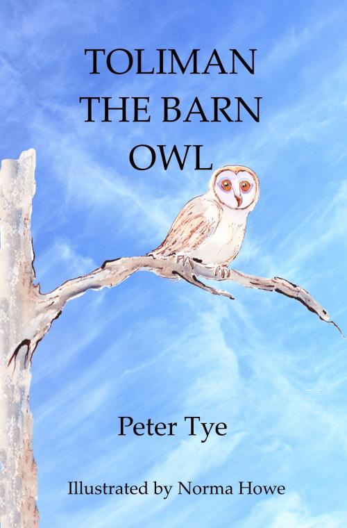 Cover of the book Toliman the Barn Owl by Peter Tye, Peter Tye