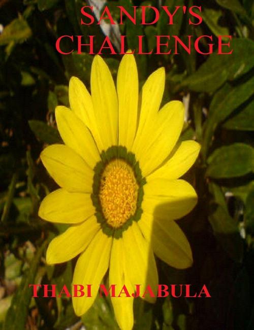Cover of the book Sandy's Challenge by Thabi Majabula, Thabi Majabula