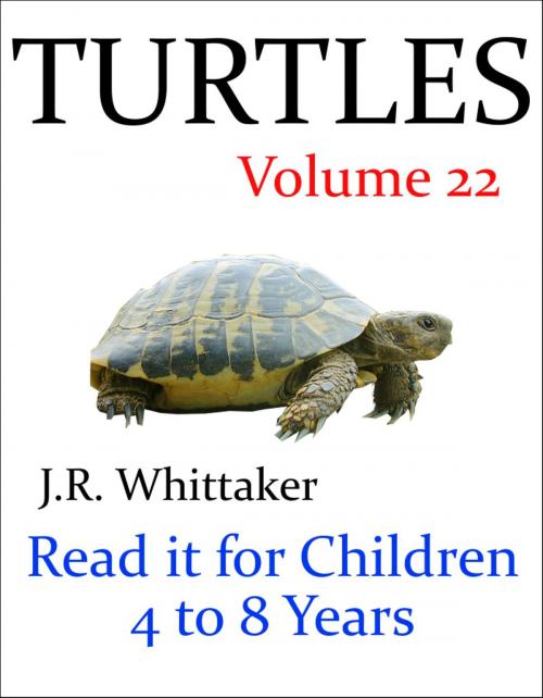 Cover of the book Turtles (Read it book for Children 4 to 8 years) by J. R. Whittaker, J. R. Whittaker