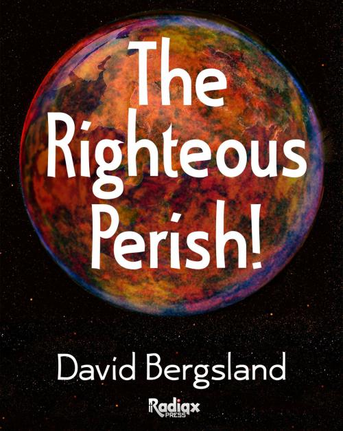 Cover of the book The Righteous Perish! by David Bergsland, David Bergsland