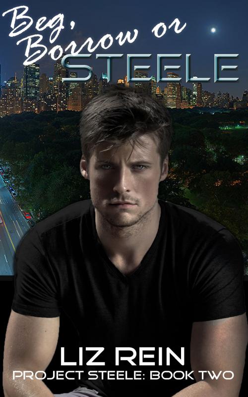 Cover of the book Beg, Borrow or STEELE (Project STEELE: Book Two) by Liz Rein, Free Rein Books