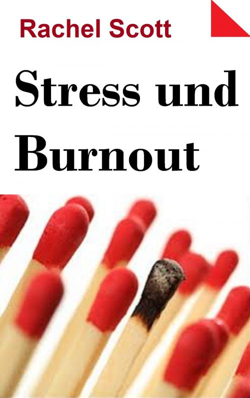 Cover of the book Stress und Burnout by Rachel Scott, ALVIS International Editions