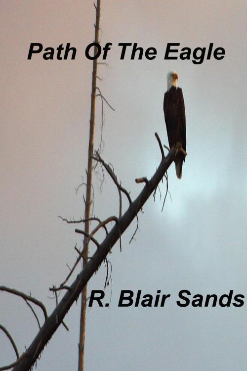 Cover of the book Path Of The Eagle by R. Blair Sands, R. Blair Sands