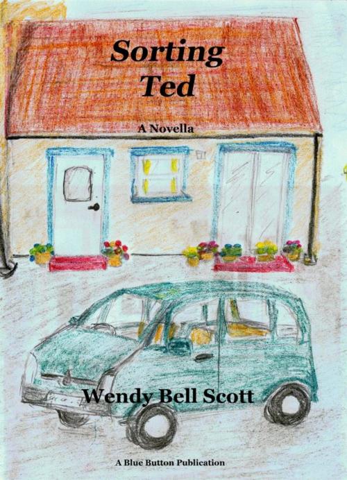 Cover of the book Sorting Ted by Wendy               Bell Scott, Blue Button Publications