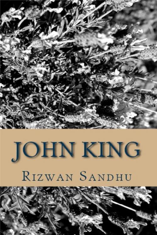Cover of the book John King by Rizwan Sandhu, Rizwan Sandhu