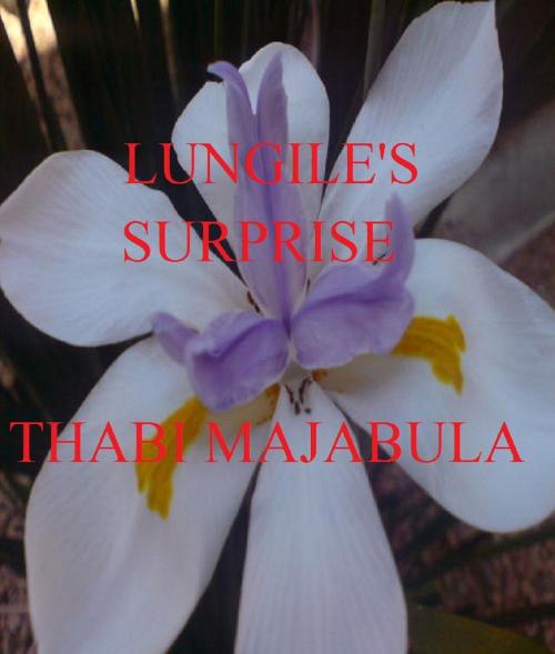 Cover of the book Lungile's Surprise by Thabi Majabula, Thabi Majabula