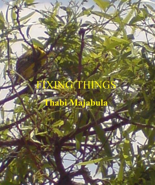 Cover of the book Fixing Things by Thabi Majabula, Thabi Majabula