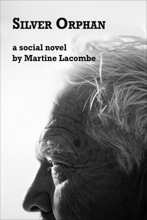 Cover of the book Silver Orphan by Martine Lacombe, Martine Lacombe