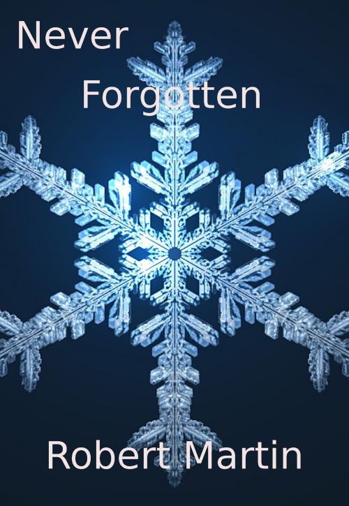 Cover of the book Never Forgotten by Robert Martin, Robert Martin