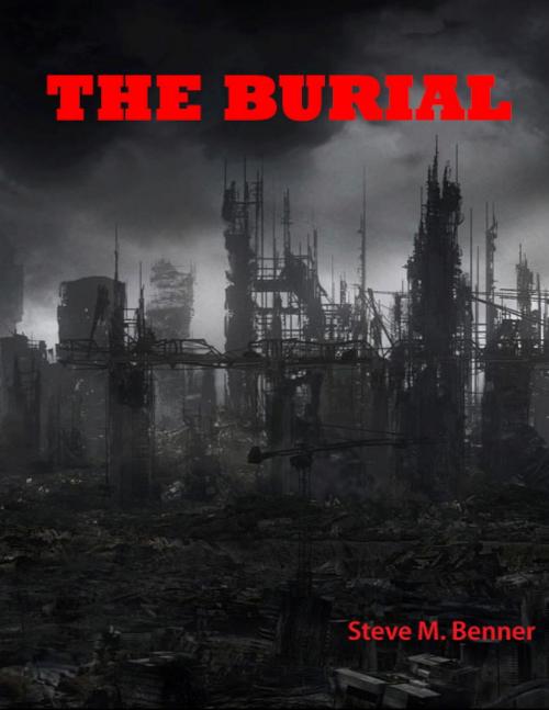 Cover of the book The Burial by Steve Matthew Benner, Steve Matthew Benner