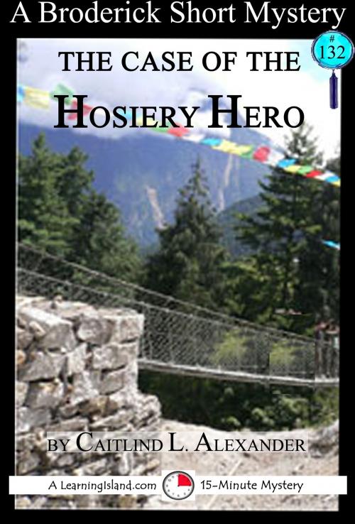 Cover of the book The Case of the Hosiery Hero: A 15-Minute Brodericks Mystery by Caitlind L. Alexander, LearningIsland.com