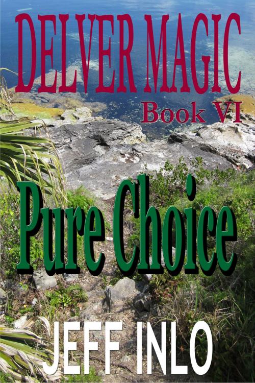 Cover of the book Delver Magic Book VI: Pure Choice by Jeff Inlo, Jeff Inlo