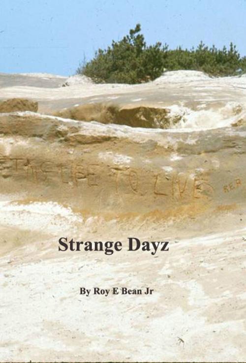 Cover of the book Strange Dayz by Roy E. Bean Jr, Roy E. Bean, Jr