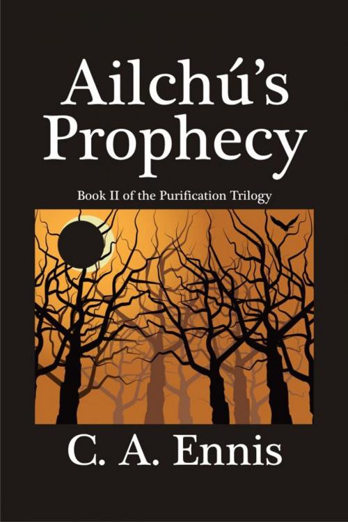 Cover of the book Ailchú's Prophecy by C. A. Ennis, C. A. Ennis