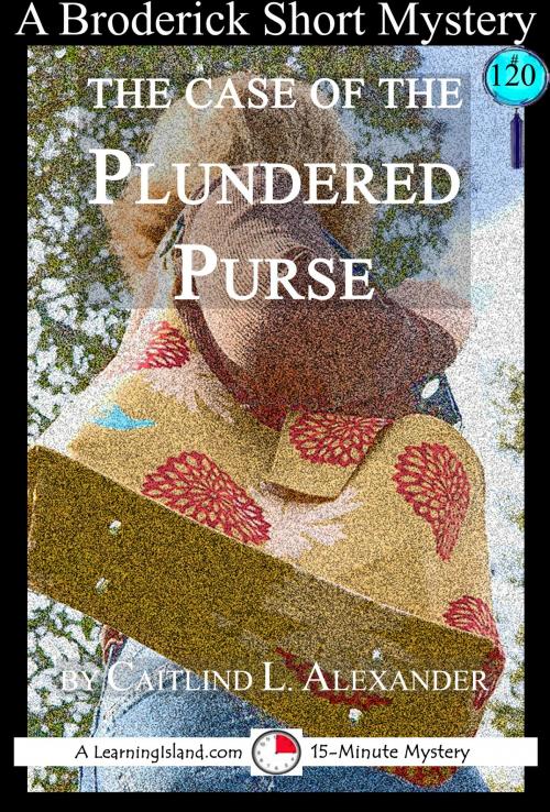Cover of the book The Case of the Plundered Purse: A 15-Minute Brodericks Mystery by Caitlind L. Alexander, LearningIsland.com