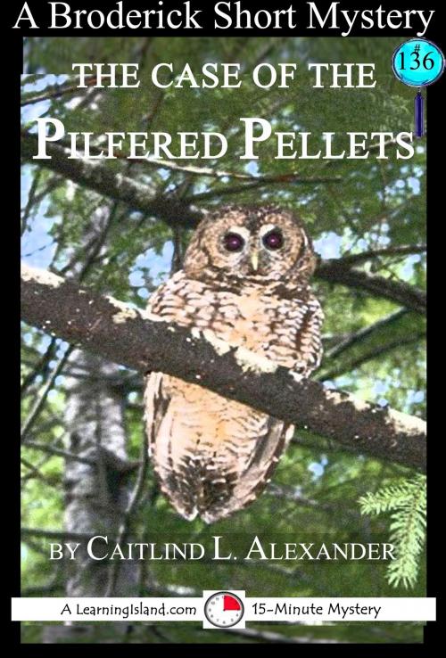 Cover of the book The Case of the Pilfered Pellets: A 15-Minute Brodericks Mystery by Caitlind L. Alexander, LearningIsland.com