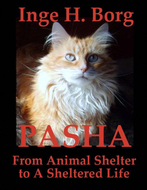 Cover of the book Pasha, From Animal Shelter to A Sheltered Life by Inge H. Borg, Inge H. Borg
