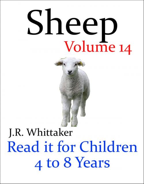 Cover of the book Sheep (Read it book for Children 4 to 8 years) by J. R. Whittaker, J. R. Whittaker