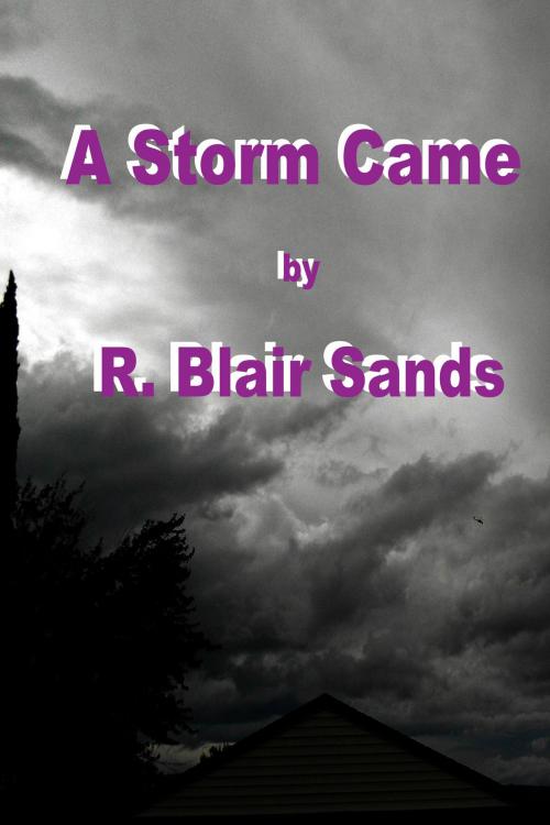 Cover of the book A Storm Came by R. Blair Sands, R. Blair Sands