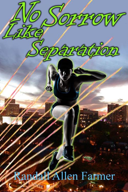 Cover of the book No Sorrow Like Separation by Randall Allen Farmer, Randall Allen Farmer