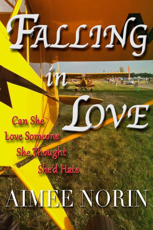 Cover of the book Falling in Love by Aimee Norin, Aimee Norin