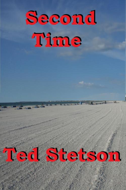 Cover of the book Second Time by Ted Stetson, Ted Stetson