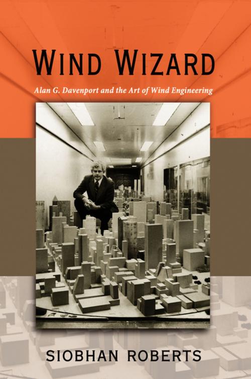 Cover of the book Wind Wizard by Siobhan Roberts, Princeton University Press