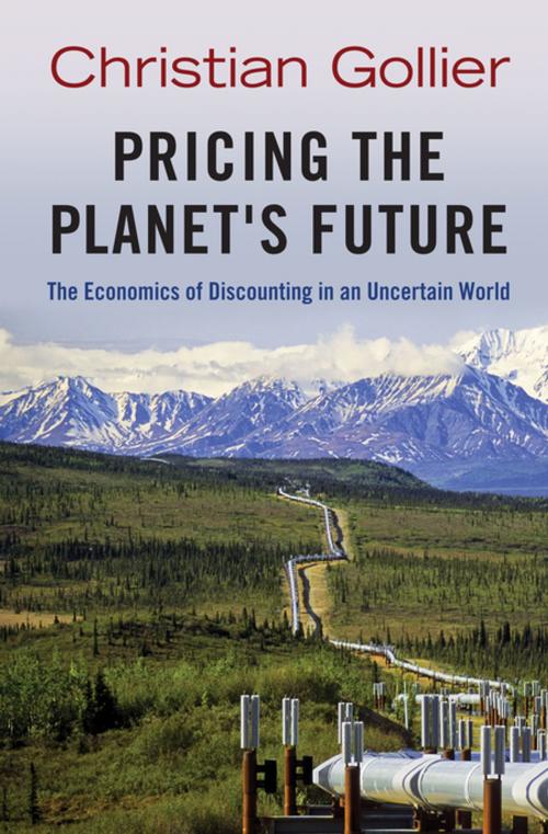 Cover of the book Pricing the Planet's Future by Christian Gollier, Princeton University Press