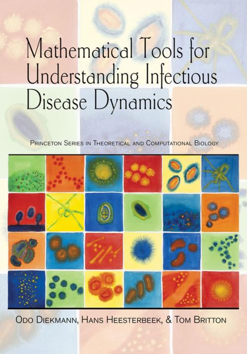 Cover of the book Mathematical Tools for Understanding Infectious Disease Dynamics by Odo Diekmann, Hans Heesterbeek, Tom Britton, Princeton University Press