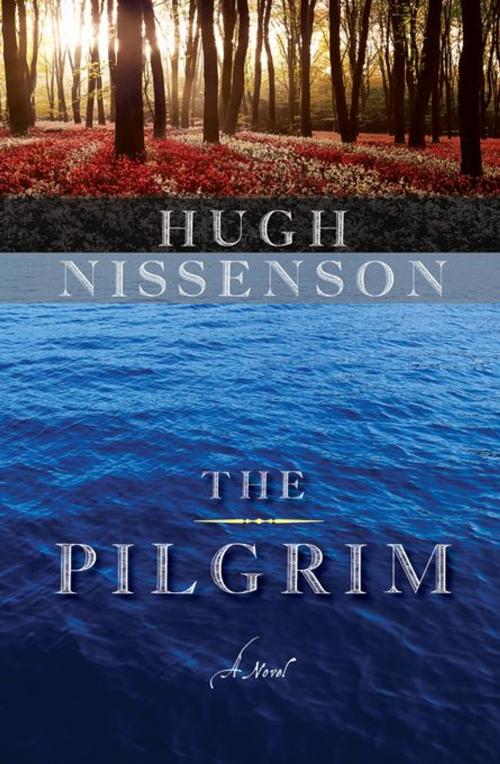 Cover of the book The Pilgrim by Hugh Nissenson, Sourcebooks