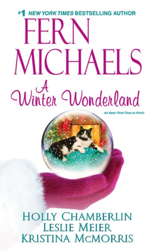 Cover of the book A Winter Wonderland by Fern Michaels, Holly Chamberlin, Kristina McMorris, Leslie Meier, Zebra Books