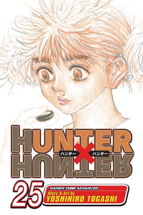 Cover of the book Hunter x Hunter, Vol. 25 by Yoshihiro Togashi, VIZ Media